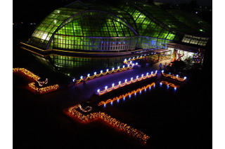 京都府立植物園、イルミネーションで夜間開放 画像