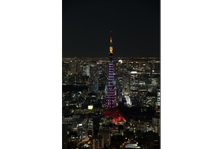 東京タワーと京都タワーが合格祈願のライトアップ　大学キャラも応援 画像