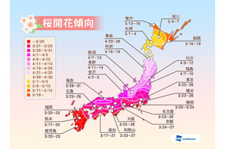 2014年の桜の開花予想、北日本はやや早め……ウェザーニューズが発表 画像