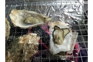 三陸の牡蠣を炭火で…浅草駅屋上に「かき小屋」が季節限定オープン 画像