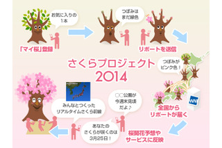 “満開”だけじゃない桜の魅力……生長を観察する「さくらプロジェクト2014」 画像