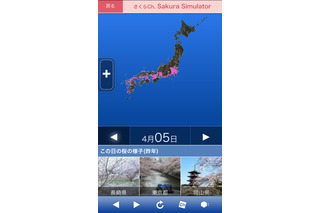 “未来”の桜開花状況もひと目でわかる「さくらシュミレーター」 画像