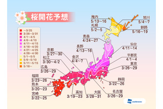 2014年の桜開花、高知県が一番乗り……平年より4日早く 画像