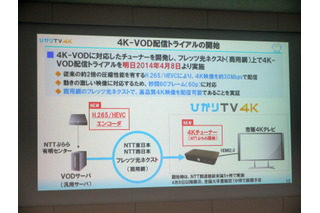 NTTぷらら、4KのVODをトライアル配信 画像