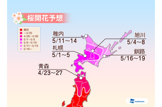 【GW】東北や北海道で桜の開花シーズンへ 画像