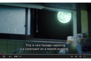 6月4日は「虫の日」……民間月面探査チームが“あの虫”の壮大な旅の動画を配信 画像