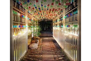 風鈴の“天の川”に恋の願い……川越氷川神社で新祭事「縁むすび風鈴」開催へ 画像