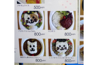 【Interpets 2014 Vol.17】わんこカレー、ニャパオライス……ペット展示会のメニュー 画像