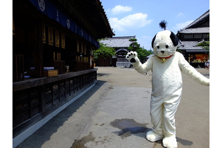 日光江戸村の「ニャンまげ」、さらに猫らしく自分らしく!? 画像