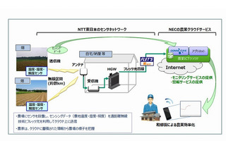 NTT東×NEC×和郷園、センサーと農場クラウドを活用した監視システムを実験 画像