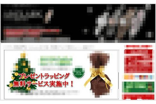 クリスマスプレゼントに便乗した詐欺サイトを検知……個人情報の悪用も 画像