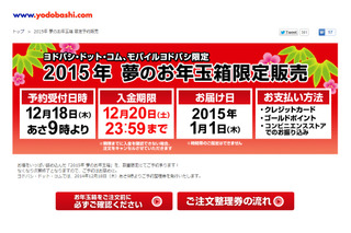 ヨドバシカメラ恒例の福袋、iPad入りで3万円……18日予約開始 画像