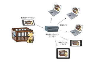 古いスマホを活用した低価格監視システム「顔見てスマホみまもり」 画像