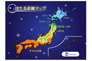 ホタルの見頃、全国的にピーク……関東南部は今週末が観賞チャンス 画像