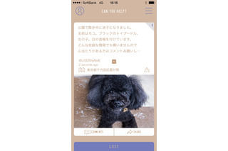 ユーザーの協力を元に迷子犬を見つけ出すアプリ「FINDOG」が提供開始 画像