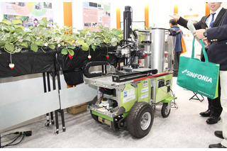 【国際ロボット展】進化を遂げた、“茎をつかんで”イチゴを収穫するロボット 画像
