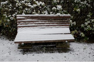 首都圏で積雪、学生の足を直撃……臨時休講で「詫び単位」や交通費要求 画像