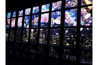 プロジェクションマッピングで“夜桜”見物、東京タワーで開催 画像