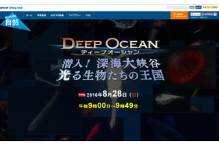 ダイオウイカ撮影のNHK深海取材班が挑む！発行生物の王国の秘密 画像