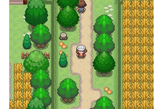 『Pokemon Uranium』警告受け公開停止に！海外ポケモンファンによる非公式ゲーム 画像