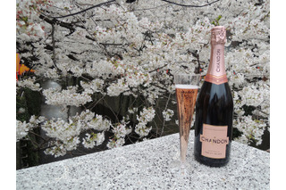 「お花見 CHANDON 目黒川」今年も開催 画像