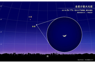 金星が今夜、最も明るく見える「最大光度」に！ 画像