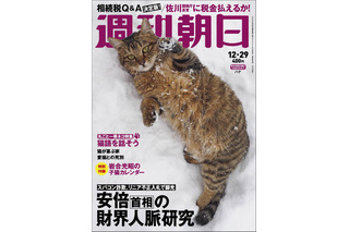 95年の歴史で初めて表紙が猫に！明日19日発売の「週刊朝日」は丸ごと一冊が猫だらけ 画像