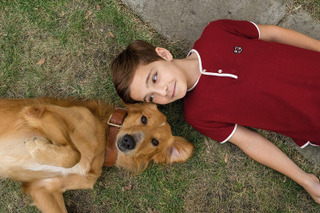 愛犬と飼い主の絆に涙！映画『僕のワンダフル・ライフ』ブルーレイ&DVDが3月発売 画像