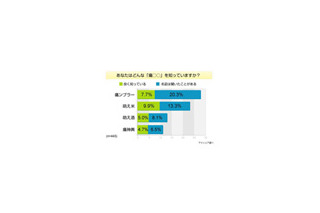 あなたが欲しい“萌えグッズ”“痛グッズ”は!?〜アイシェア調べ 画像