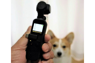【ワンコとお出かけ　Vol.31】スタビライザー付き小型カメラ「DJI Osmo Pocket」はワンコ撮影に向いている？ 画像