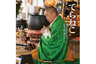 小さな寺の4匹の猫と住職の優しい日常を綴ったエッセイ『てらねこ』が発売 画像