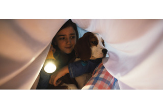 犬ベイリーの一途な姿描いた映画『僕のワンダフル・ジャーニー』 本編映像公開 画像