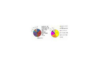 脆弱性への未対策指摘が急増 — IPA・JPCERT/CCによる2008年第4四半期状況 画像