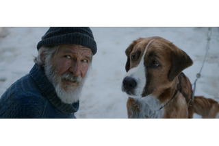 名犬バックの人間らしい表情にも注目！ハリソン・フォード主演作『野性の呼び声』Blu-ray&DVDに 画像