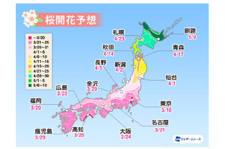 桜開花トップは東京で3月18日予想！全国的に平年より早い傾向......ウェザーニューズ「第二回桜開花予想」 画像