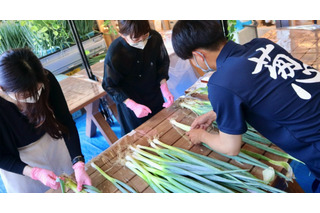 京野菜・九条ねぎの魅力を楽しむ1日限定イベント開催 画像
