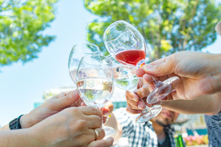 山梨県産ワイン約200銘柄一挙飲み比べ「蔵出しワインバー」が４年ぶりに甲府開催！ 画像