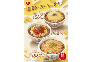 すき家人気商品に仲間が登場！「明太マヨチーズ牛丼」「トマトチーズ牛丼」新発売 画像