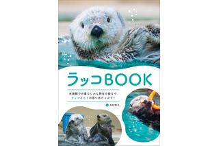 発売前からAmazon人気度ランキング1位に！ ラッコの“すべて”がわかる『ラッコBOOK』7月発売 画像