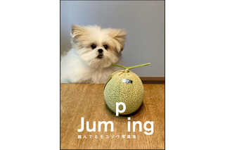 不思議可愛いミックス犬“モコゾウ”の写真集が刊行！『跳んでるモコゾウ写真集』 画像