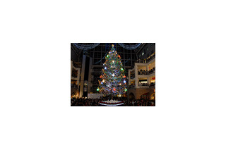 街はクリスマス気分へ！札幌ファクトリー、巨大ツリー点灯式や関連動画も公開に 画像
