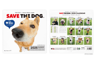 保護犬たちの笑顔が集まる「SAVE THE DOG 2025カレンダー」受注販売開始 画像