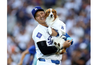 大谷翔平、愛犬の写真投稿!「デコピン」2歳の誕生日 画像