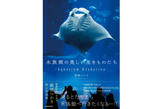 90種類以上の“生きものたち”を収録!「水族館の美しい生きものたち」写真集が好評発売中 画像