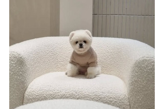 韓国の“SNSスター”が1年前にこの世を去っていた…空港の名誉広報大使務め、人気歌手のMVにも出演 画像