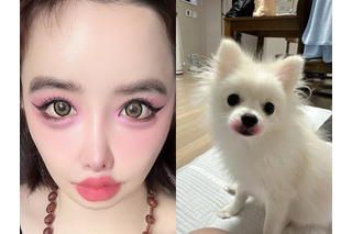 犬に“口紅”塗りたくり炎上　「64272e兆億ウォン」告訴に続いて韓国アイドルがまたしても奇行 画像
