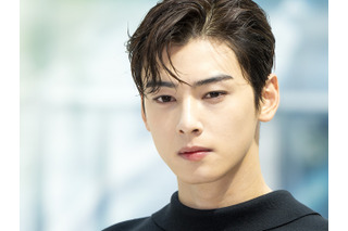 “懲役刑”の可能性は？チャウヌの20億円脱税疑惑、浮上した“共犯”説と刑事罰をめぐる争点 画像