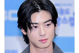 チャウヌの200億ウォン脱税疑惑、納税者連盟が情報流出を問題視　税務公務員・記者を告発へ 画像