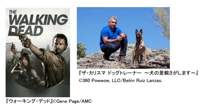 J Com 米foxのvodサービス Fox Play を日本で独占提供 Rbb Today J Com 米foxのvodサービス Fox Play を日本で独占提供 Rbb Today