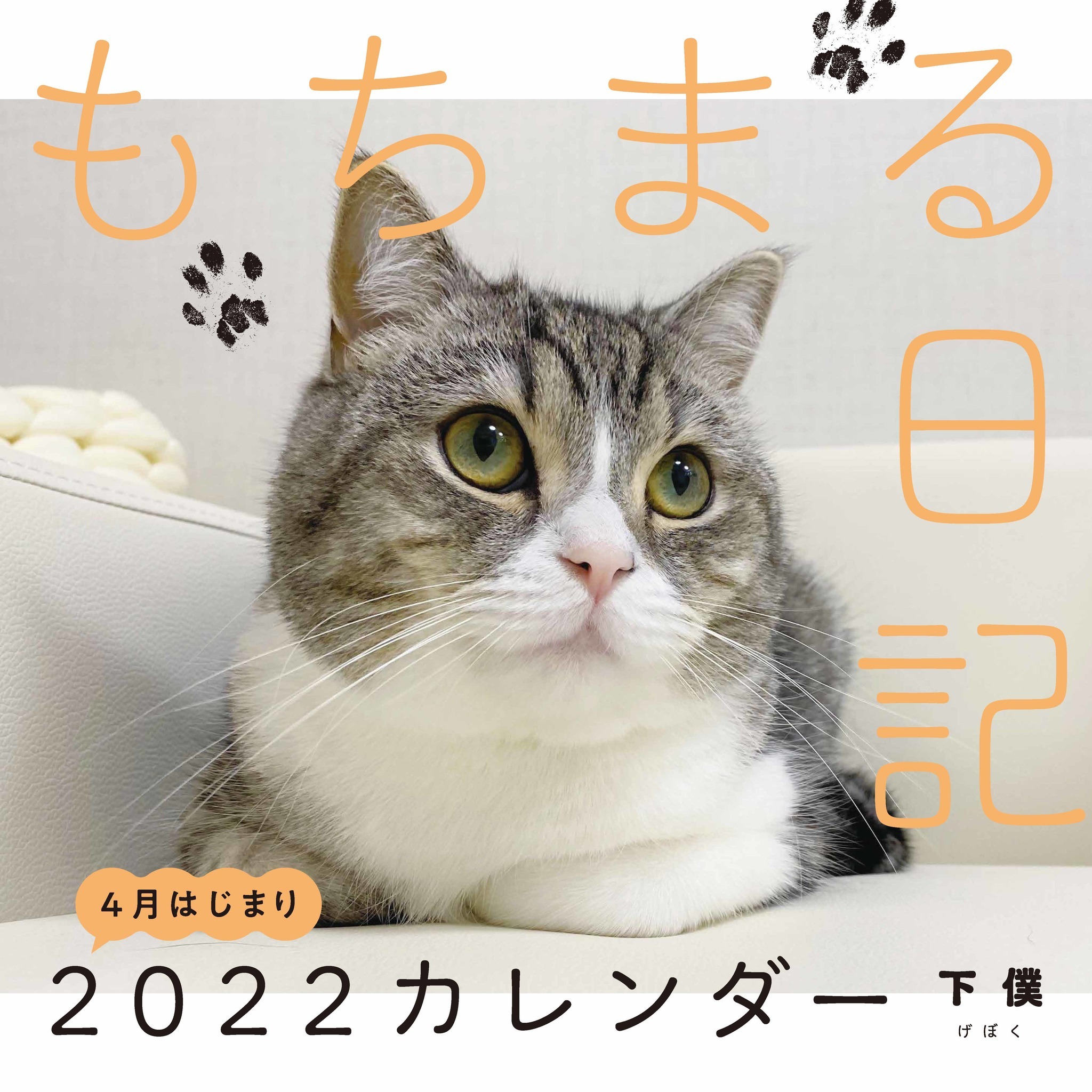 ☆来店限定☆コレクションやアクセサリーに！ガラストップ
